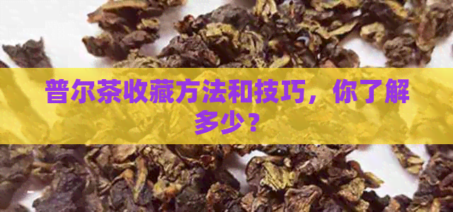 普尔茶收藏方法和技巧，你了解多少？