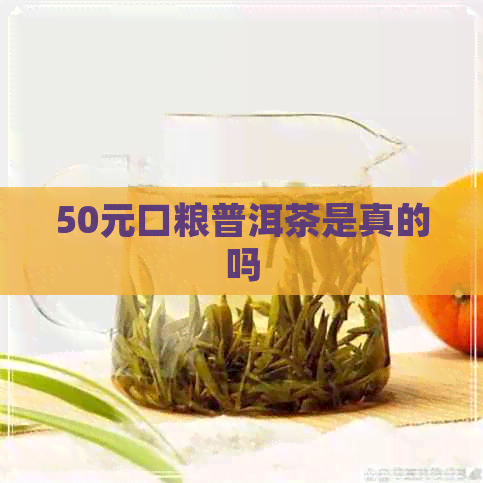 50元口粮普洱茶是真的吗