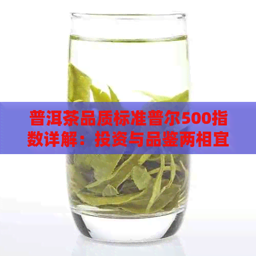 普洱茶品质标准普尔500指数详解：投资与品鉴两相宜