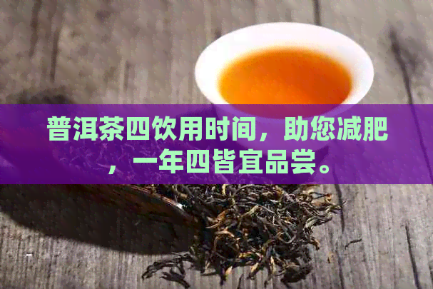 普洱茶四饮用时间，助您减肥，一年四皆宜品尝。