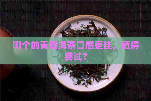 哪个的青普洱茶口感更佳，值得尝试？