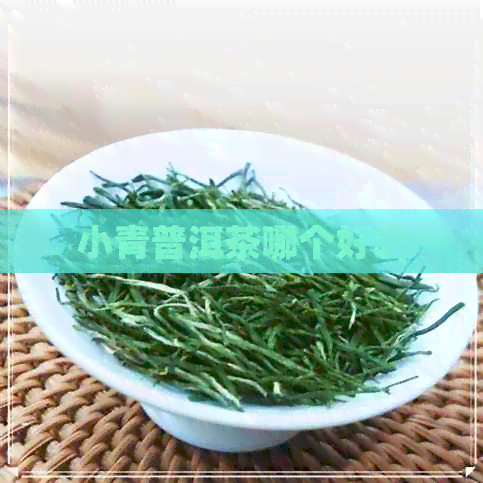 小青普洱茶哪个好喝