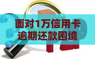 面对1万信用卡逾期还款困境，该如何应对？