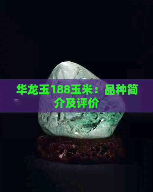 华龙玉188玉米：品种简介及评价