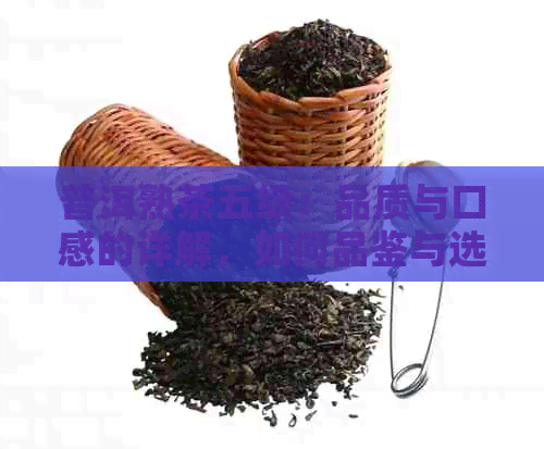 普洱熟茶五级：品质与口感的详解，如何品鉴与选购？