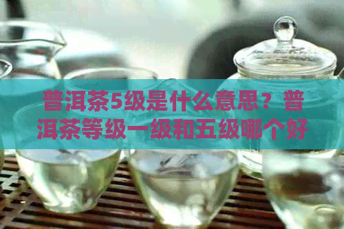 普洱茶5级是什么意思？普洱茶等级一级和五级哪个好？普洱茶五级质量如何？