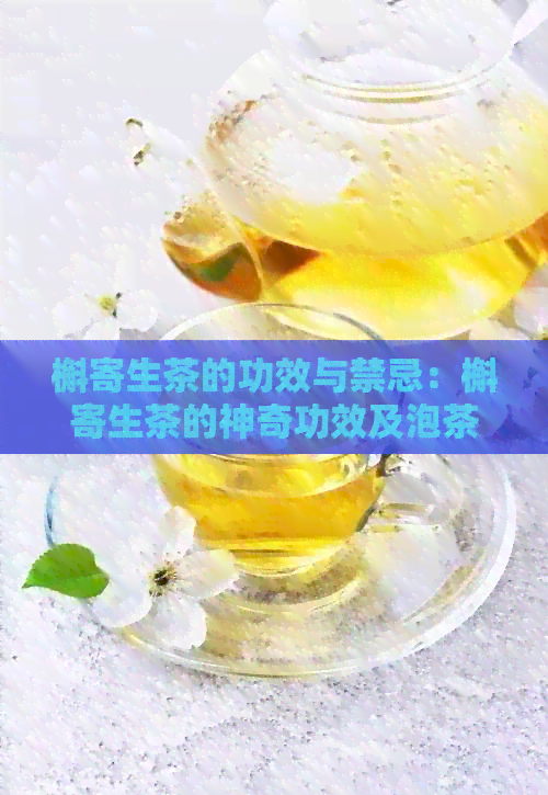 槲寄生茶的功效与禁忌：槲寄生茶的神奇功效及泡茶饮方法