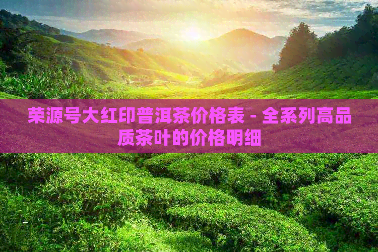 荣源号大红印普洱茶价格表 - 全系列高品质茶叶的价格明细