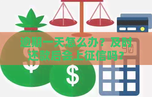 逾期一天怎么办？及时还款后会上吗？