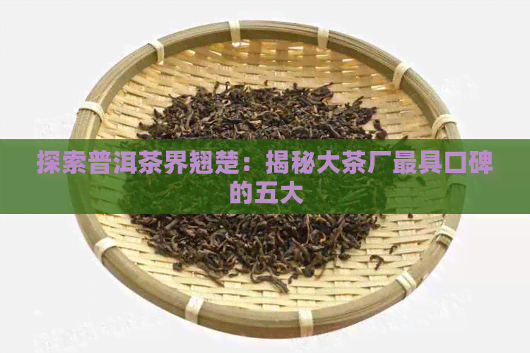 探索普洱茶界翘楚：揭秘大茶厂更具口碑的五大