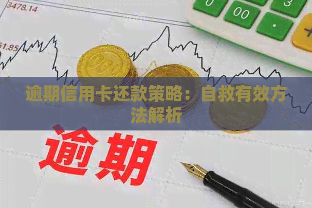 逾期信用卡还款策略：自救有效方法解析