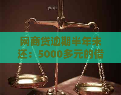 网商贷逾期半年未还：5000多元的借款如何解决？