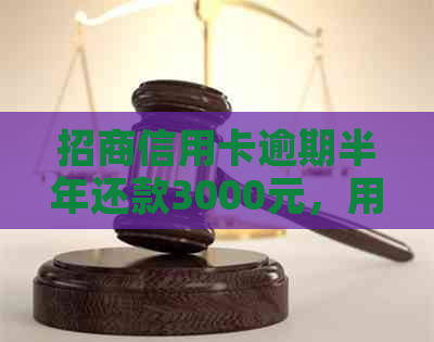 招商信用卡逾期半年还款3000元，用户如何解决相关问题及影响？