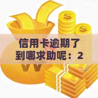 信用卡逾期了到哪求助呢：2022年逾期流程及解决方法