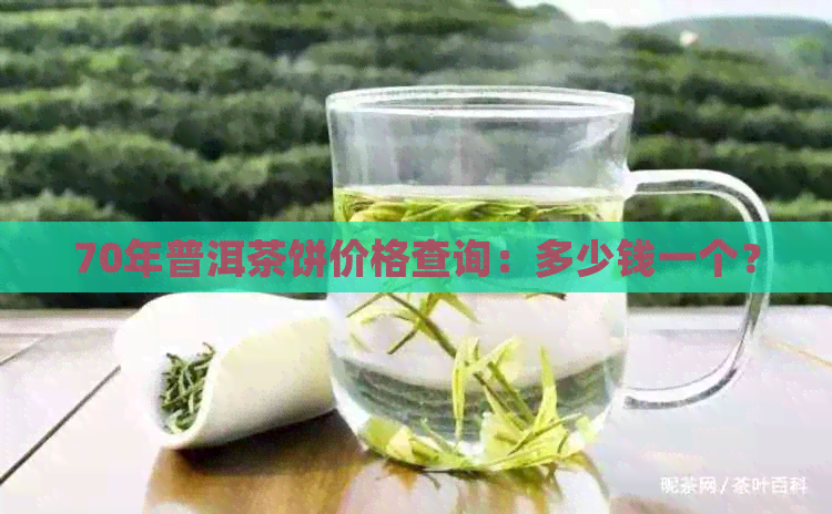 70年普洱茶饼价格查询：多少钱一个？