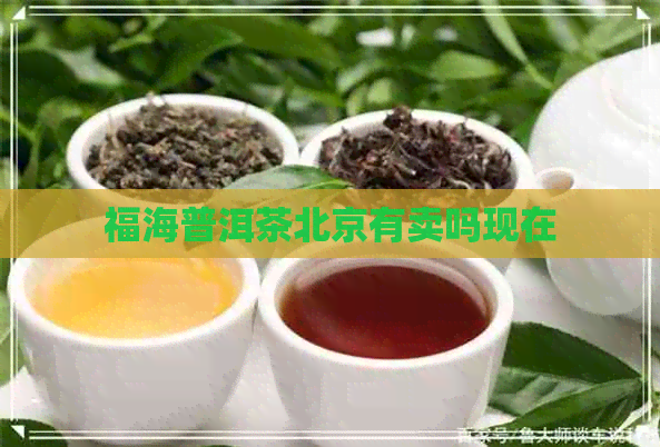 福海普洱茶北京有卖吗现在