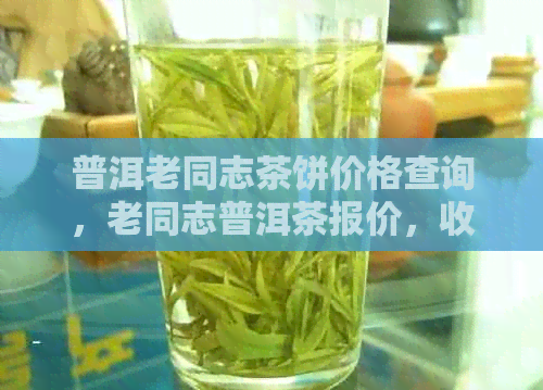 普洱老同志茶饼价格查询，老同志普洱茶报价，收藏价值，行情报价网