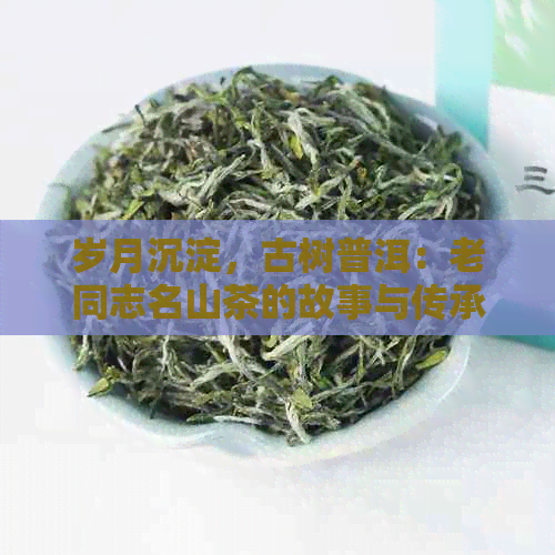 岁月沉淀，古树普洱：老同志名山茶的故事与传承