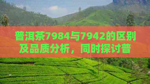 普洱茶7984与7942的区别及品质分析，同时探讨普洱茶79102的特点