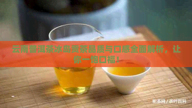 云南普洱茶冰岛贡茶品质与口感全面解析，让你一饱口福！