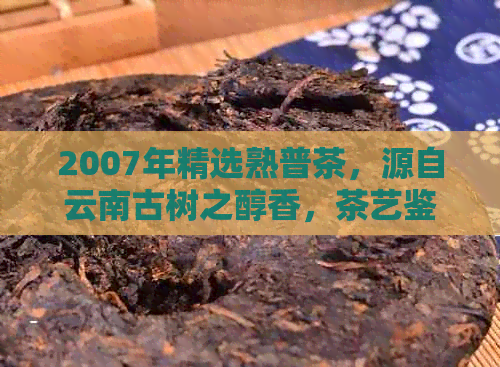 2007年精选熟普茶，源自云南古树之醇香，茶艺鉴与投资的完美结合