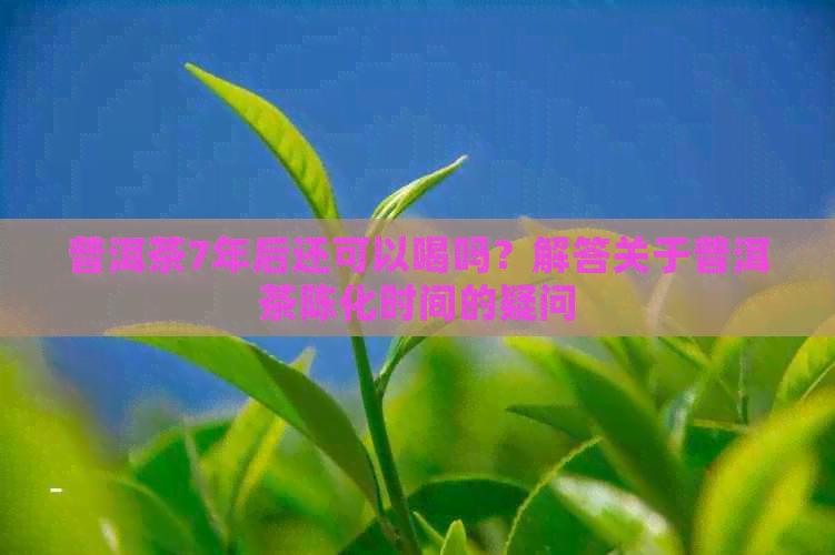 普洱茶7年后还可以喝吗？解答关于普洱茶陈化时间的疑问