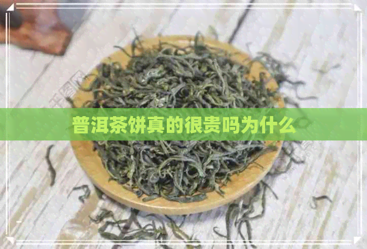 普洱茶饼真的很贵吗为什么