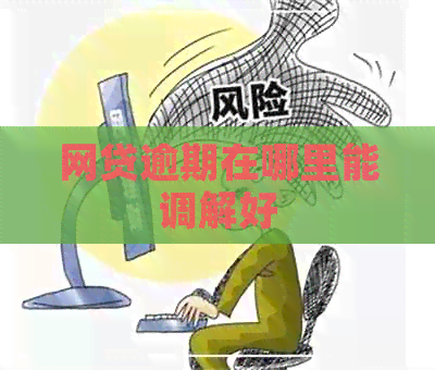 网贷逾期在哪里能调解好