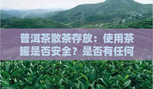 普洱茶散茶存放：使用茶罐是否安全？是否有任何潜在的健风险？