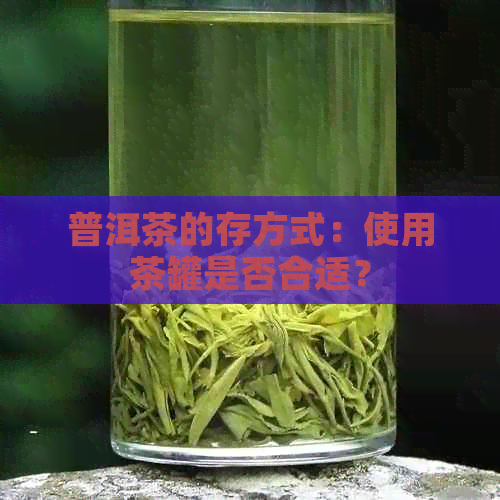 普洱茶的存方式：使用茶罐是否合适？