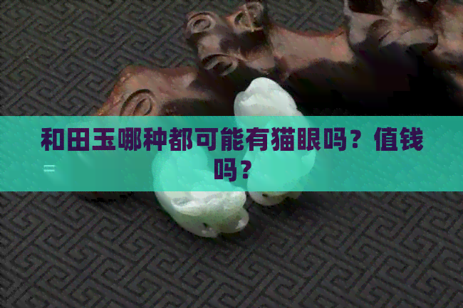 和田玉哪种都可能有猫眼吗？值钱吗？