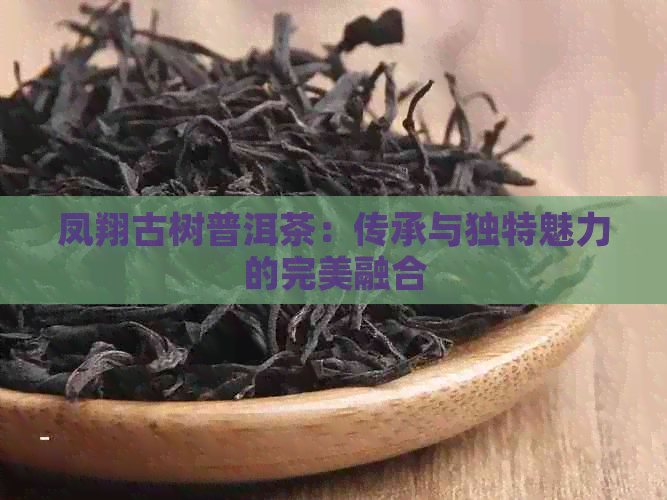 凤翔古树普洱茶：传承与独特魅力的完美融合