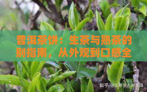 普洱茶饼：生茶与熟茶的别指南，从外观到口感全方位解析