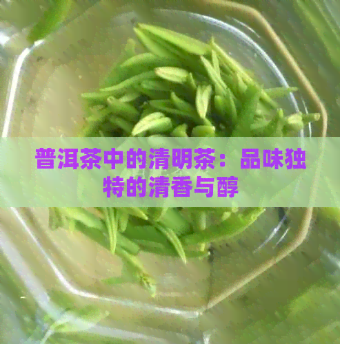 普洱茶中的清明茶：品味独特的清香与醇