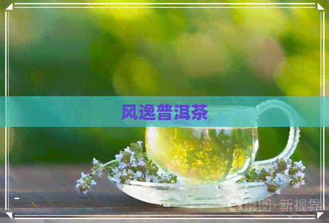 风逸普洱茶