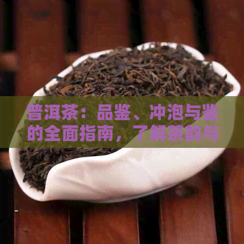 普洱茶：品鉴、冲泡与鉴的全面指南，了解茶韵与茶文化