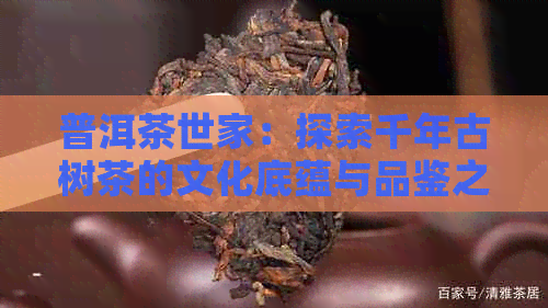 普洱茶世家：探索千年古树茶的文化底蕴与品鉴之道