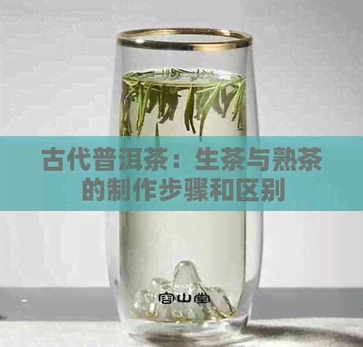 古代普洱茶：生茶与熟茶的制作步骤和区别