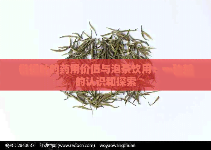 枇杷叶的药用价值与泡茶饮用：一种新的认识和探索