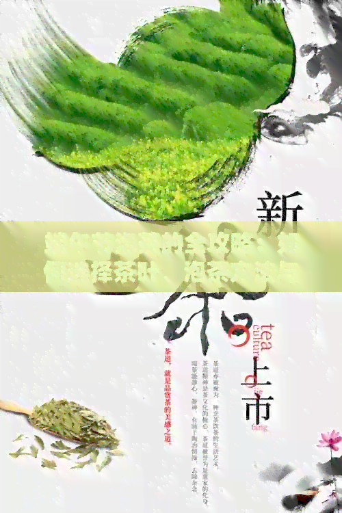 端午节泡茶的全攻略：如何选择茶叶、泡茶方法与节日俗