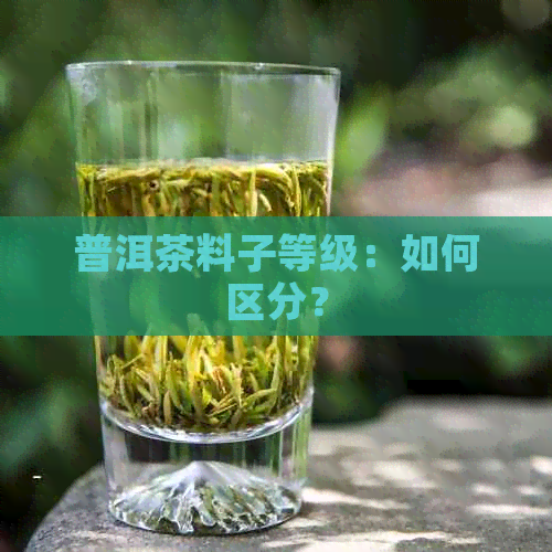 普洱茶料子等级：如何区分？