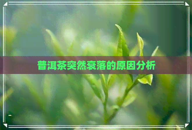 普洱茶突然衰落的原因分析