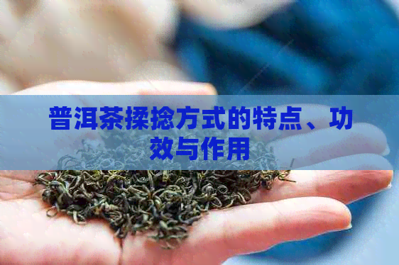 普洱茶揉捻方式的特点、功效与作用