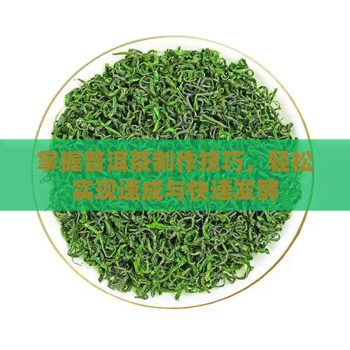 掌握普洱茶制作技巧，轻松实现速成与快速发酵