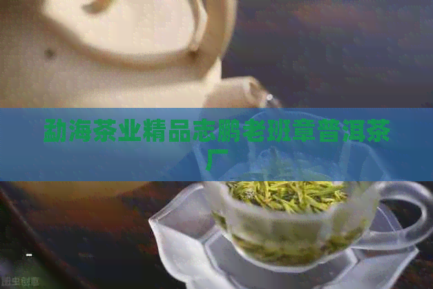 勐海茶业精品志鹏老班章普洱茶厂