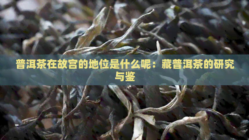 普洱茶在故宫的地位是什么呢：藏普洱茶的研究与鉴