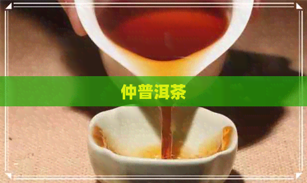 仲普洱茶