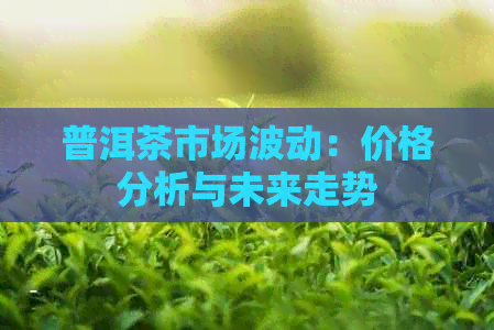 普洱茶市场波动：价格分析与未来走势