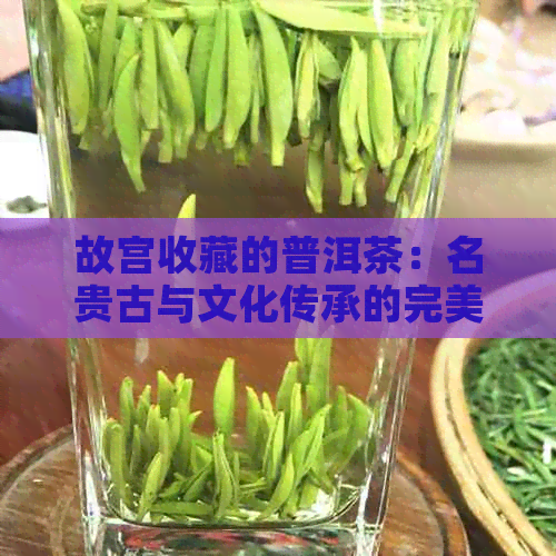 故宫收藏的普洱茶：名贵古与文化传承的完美结合