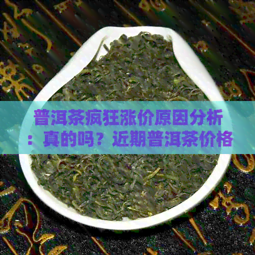 普洱茶疯狂涨价原因分析：真的吗？近期普洱茶价格波动大。